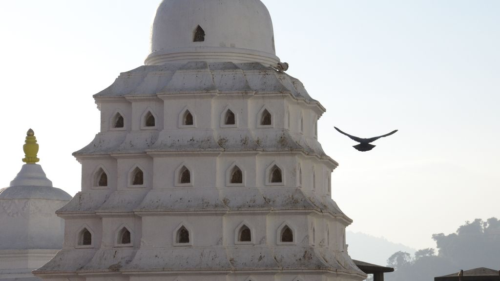Temple spire with a bird flying by