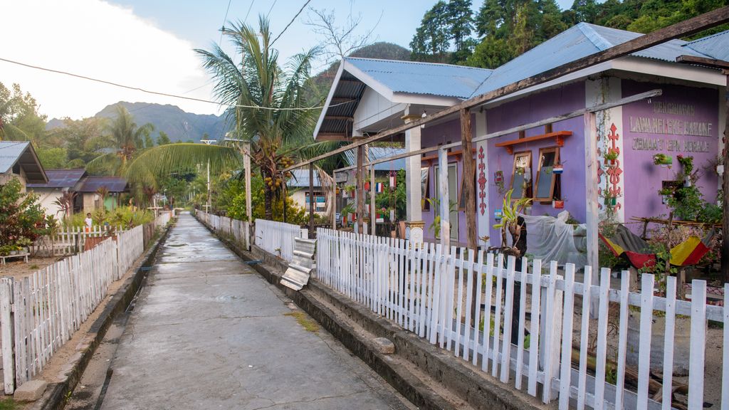 Spice islands Indonesia