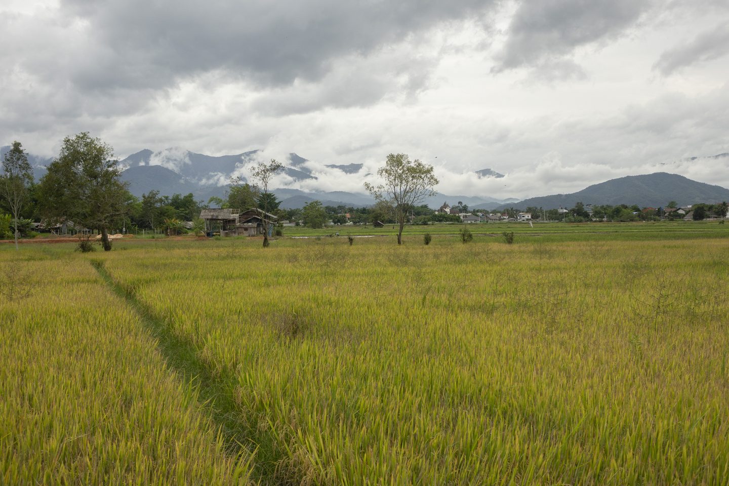 Cycle northern thailand
