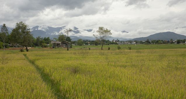 Cycle northern thailand