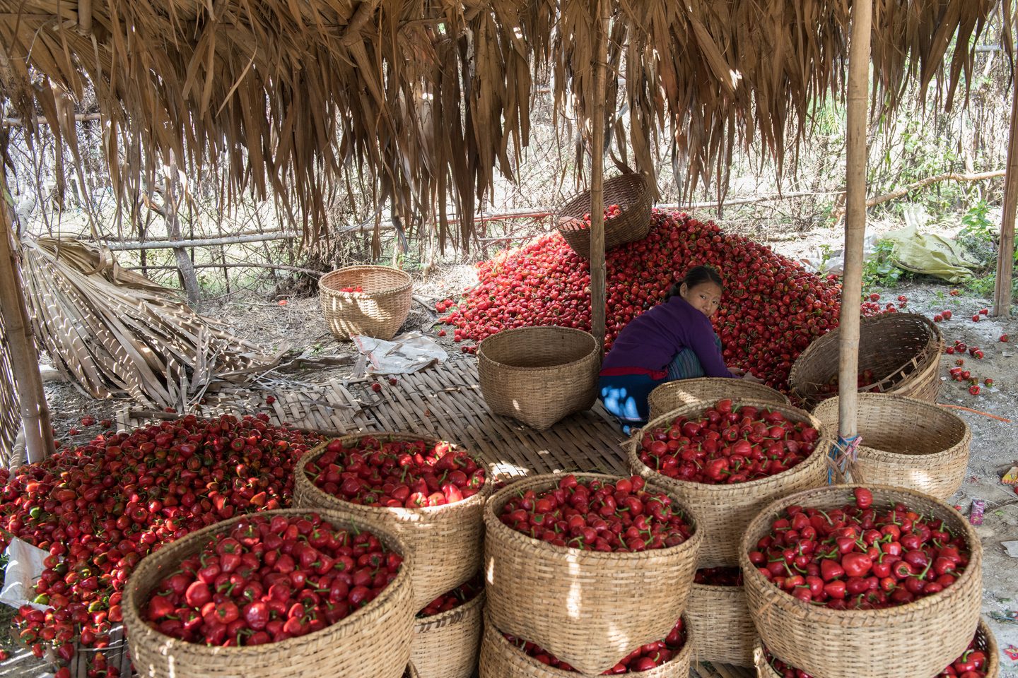 Rural Myanmar