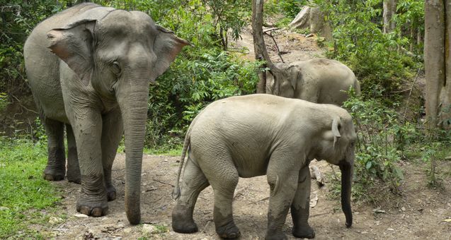 Mandalao Sanctuary