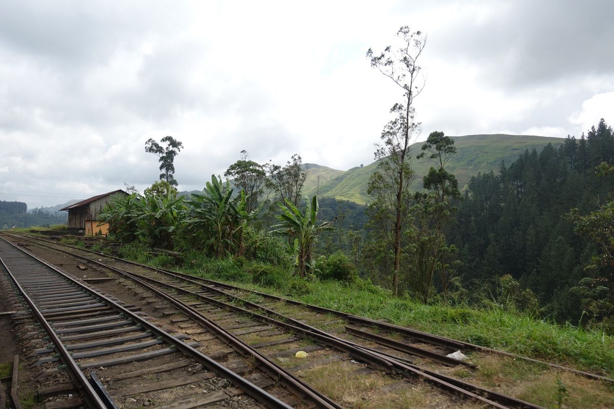 Train tracks in Sri Lanka