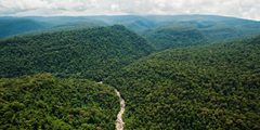 Maliau Basin Borneo