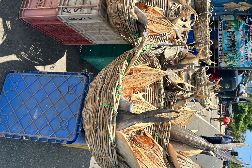 baskets of fish in baskets on crates