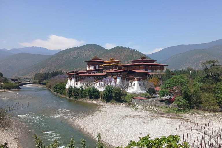 Punakha Dzong next to a river