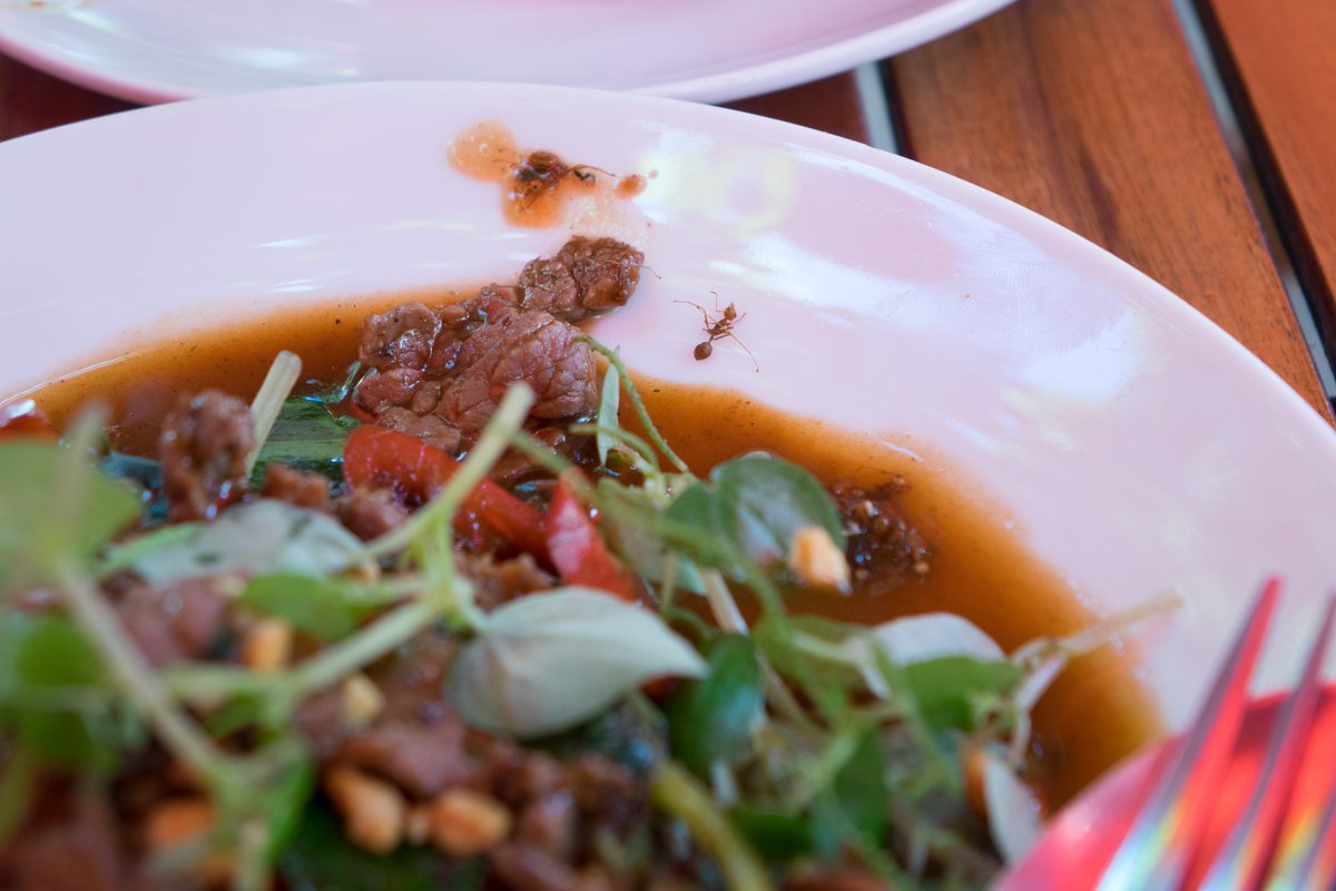 Beef with red tree ants