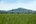 a field of grass with a hill in the background