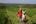 a family standing on a hill
