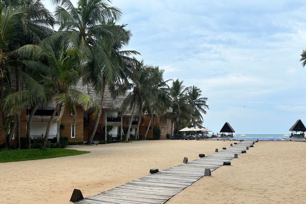 a wooden walkway on a beach