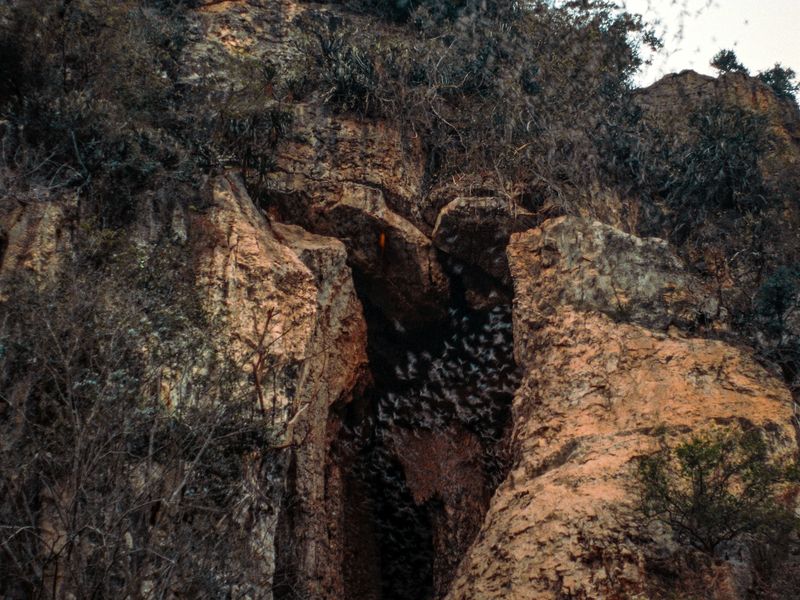 Bat cave Battambang