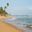 a sandy beach with palm trees