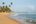 a sandy beach with palm trees
