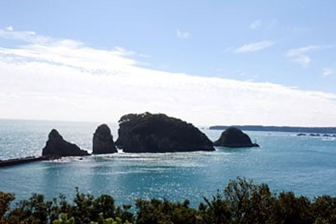 Observation platform