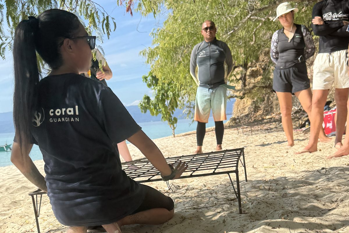 Coral conservation in Indonesia