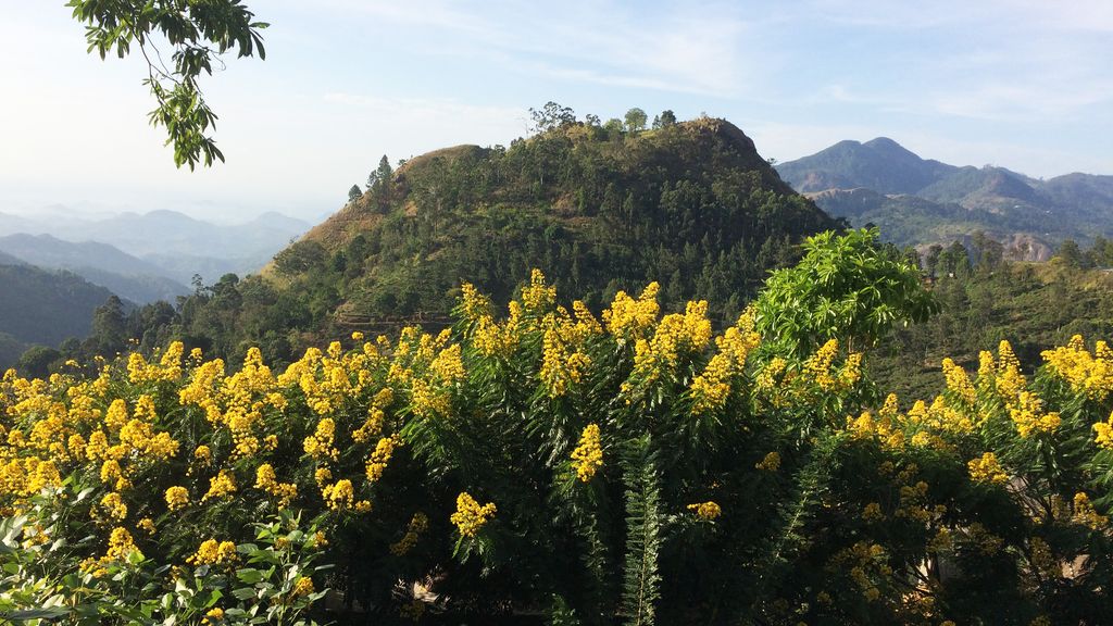 Nature in Sri Lanka