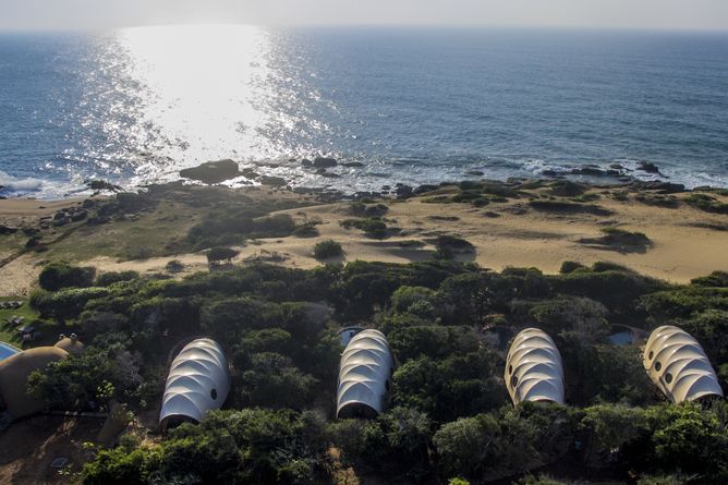 Cocoons from above