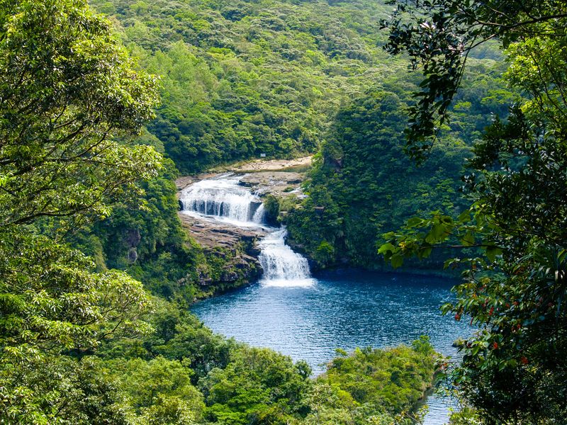 Iriomote