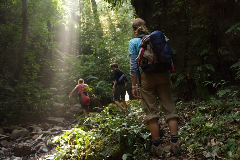 a group of people hiking in the woods