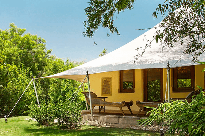 Gorgeous garden surroundings