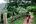 Man walking down path with green countryside