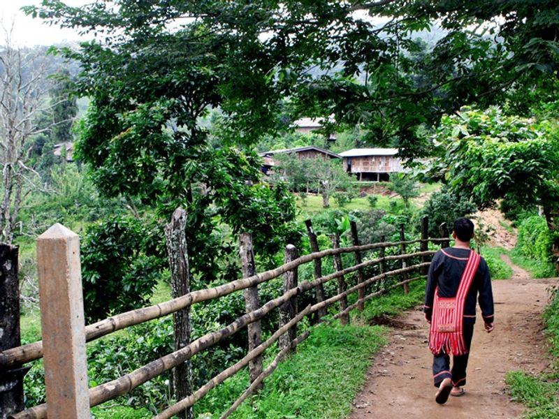 Man walking down path with green countryside