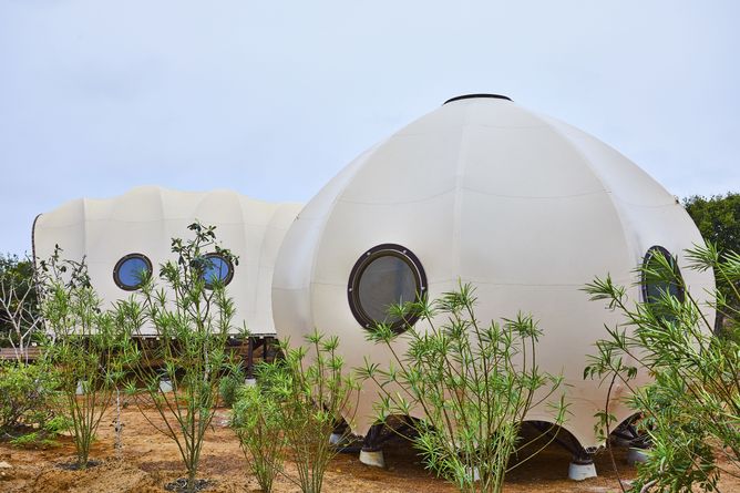 Cocoon & Urchin exteriors
