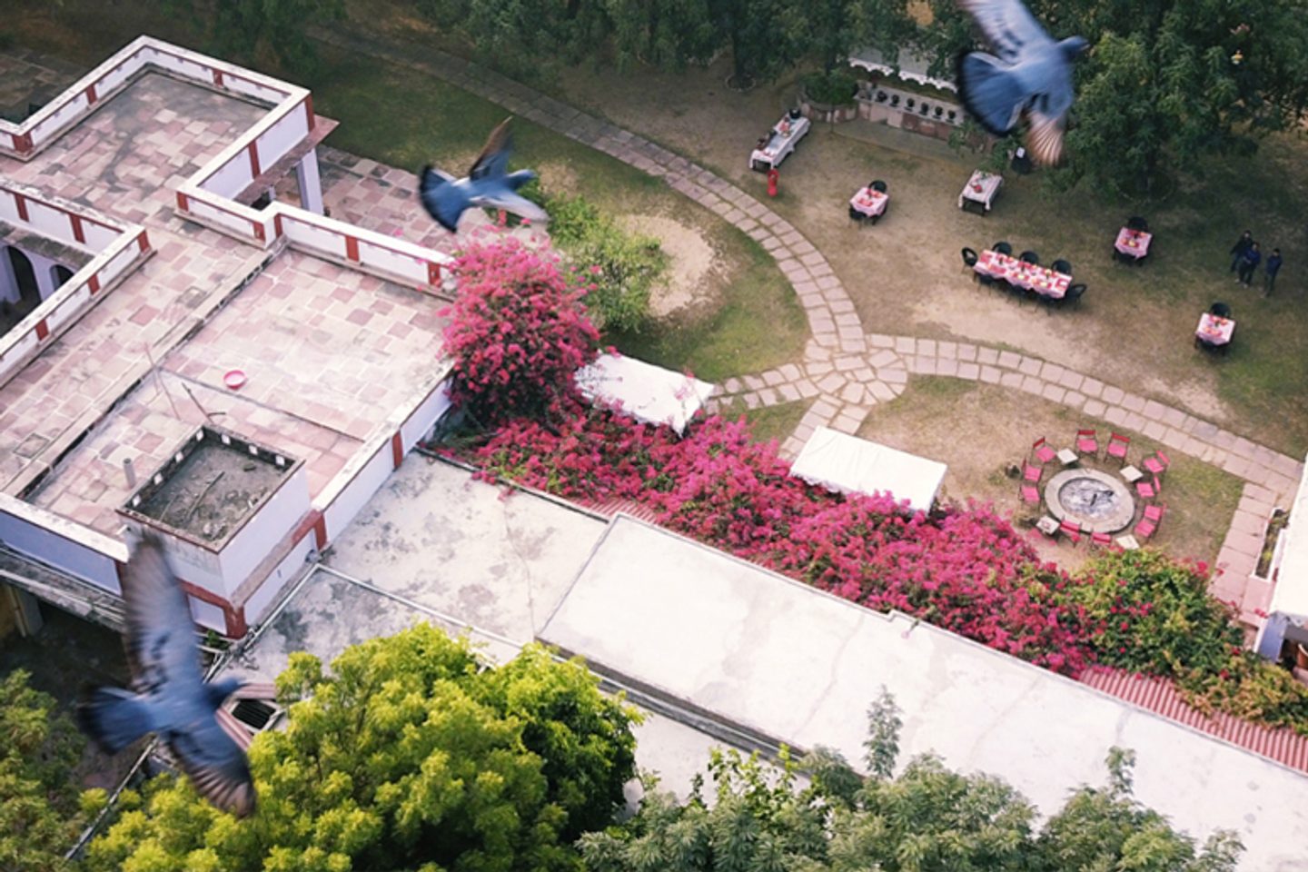 Aerial view of Chambal Safari Lodge