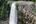 Waterfall at Mondulkiri Cambodia