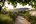 Khem Villas Ranthambore India
