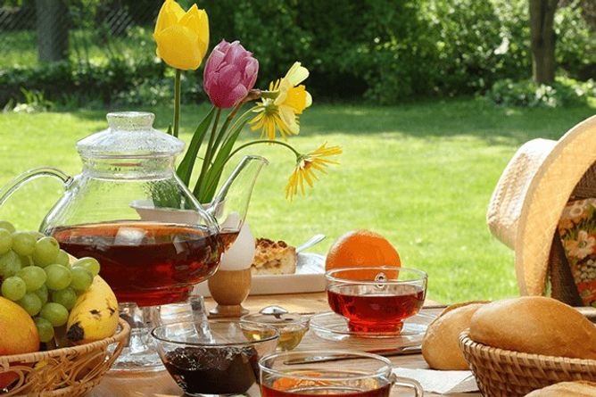 Breakfast in the herb garden