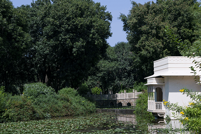 Wellbeing in the gardens