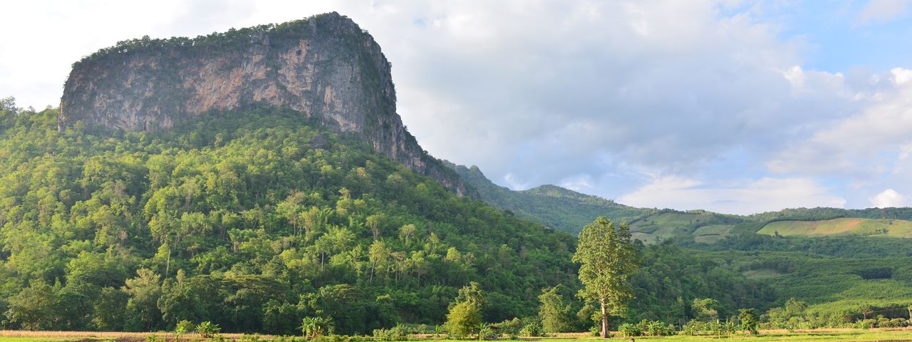 Chiang kan