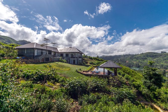 Camellia Hills