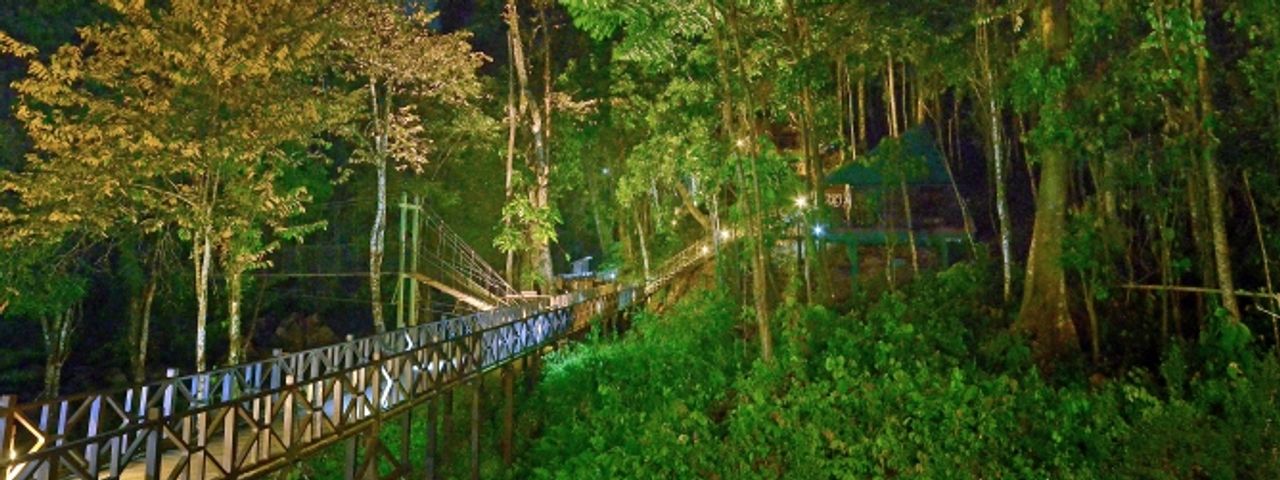 Tabin wildlife resort