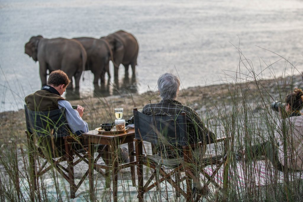 Tiger Tops elephant viewing
