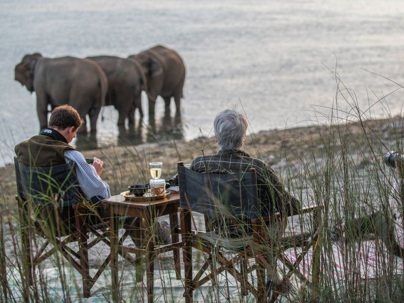 Tiger Tops elephant viewing