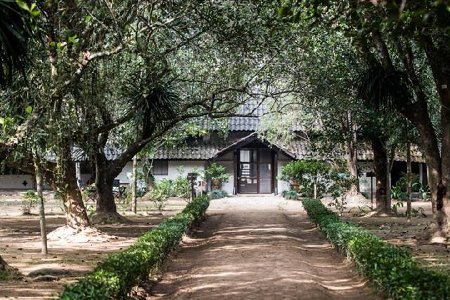 Path leading through Tiger Tops Tharu Lodge