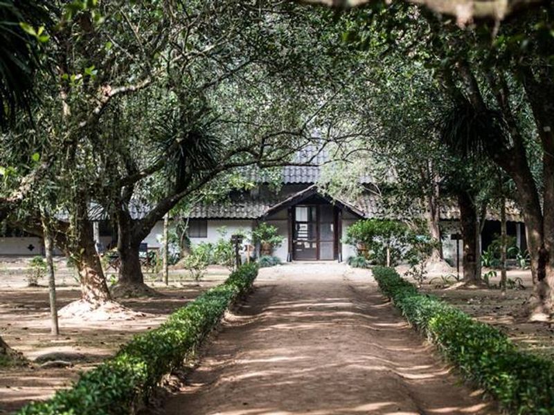 Path leading through Tiger Tops Tharu Lodge