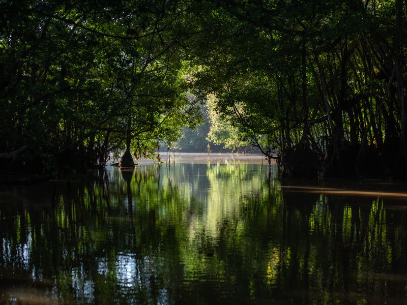Kinabatangan River