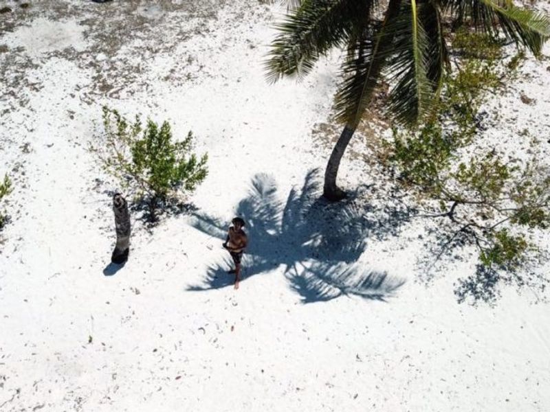 Palm trees and white sand