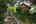 Path leading to a secluded cottage at Tiger Mountain Lodge
