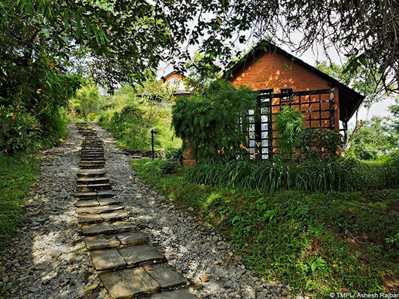 Path leading to a secluded cottage at Tiger Mountain Lodge
