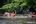 a group of people in a river