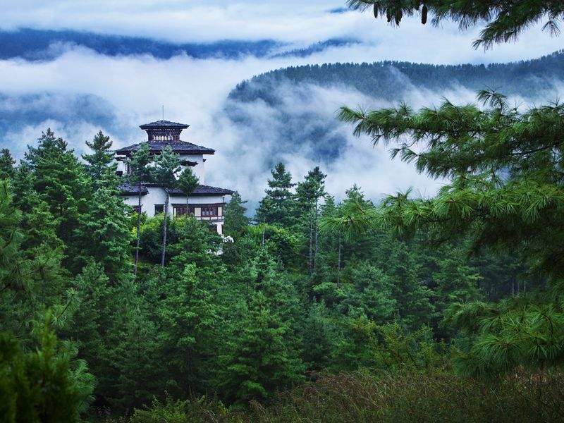 Misty hills and trees