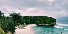 a beach with trees and water