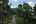 Green gardens at Aravinda Resort