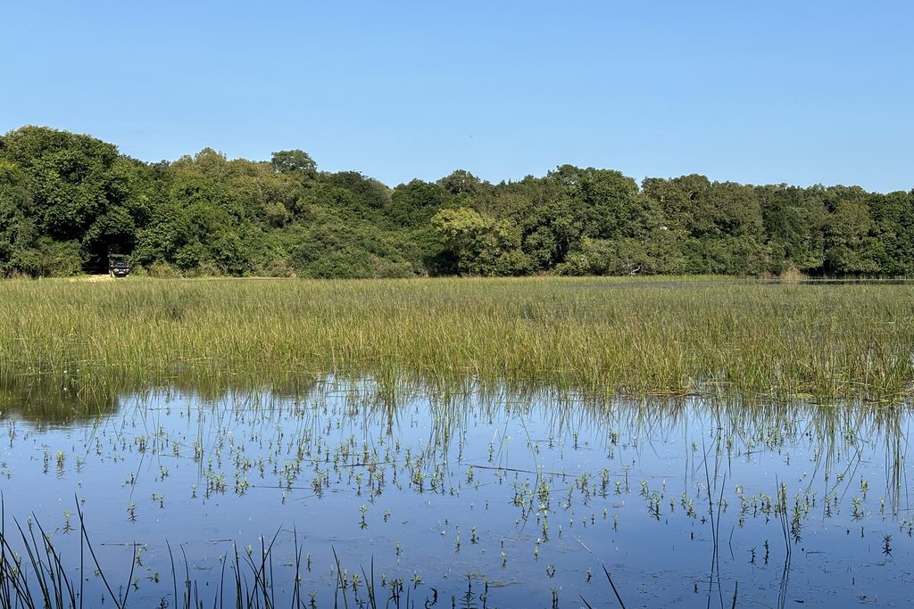 Lake in Wilpattu National Park