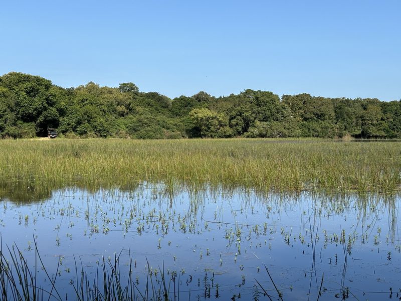 Lake in Wilpattu National Park