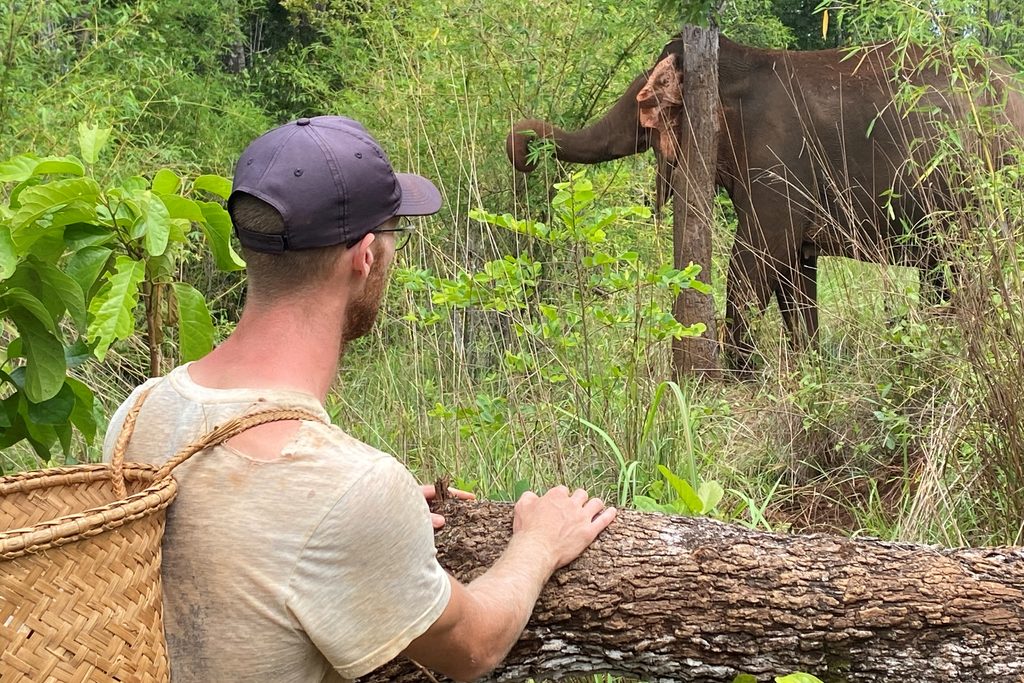 Elephant Valley Project